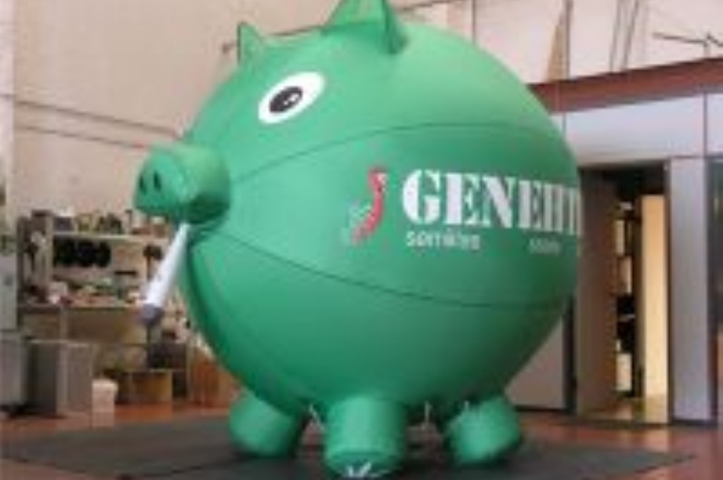 Helium inflatable pig